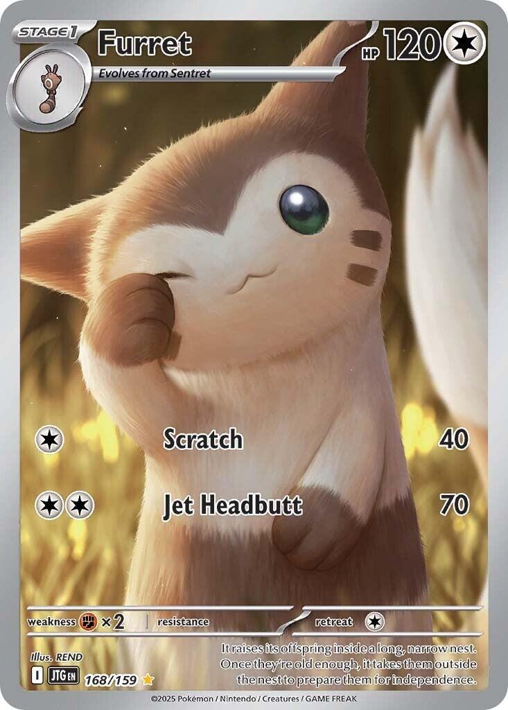 Furret #168 Journey Together