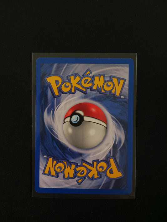 Koga's Beedrill #9 Pokemon Gym Challenge