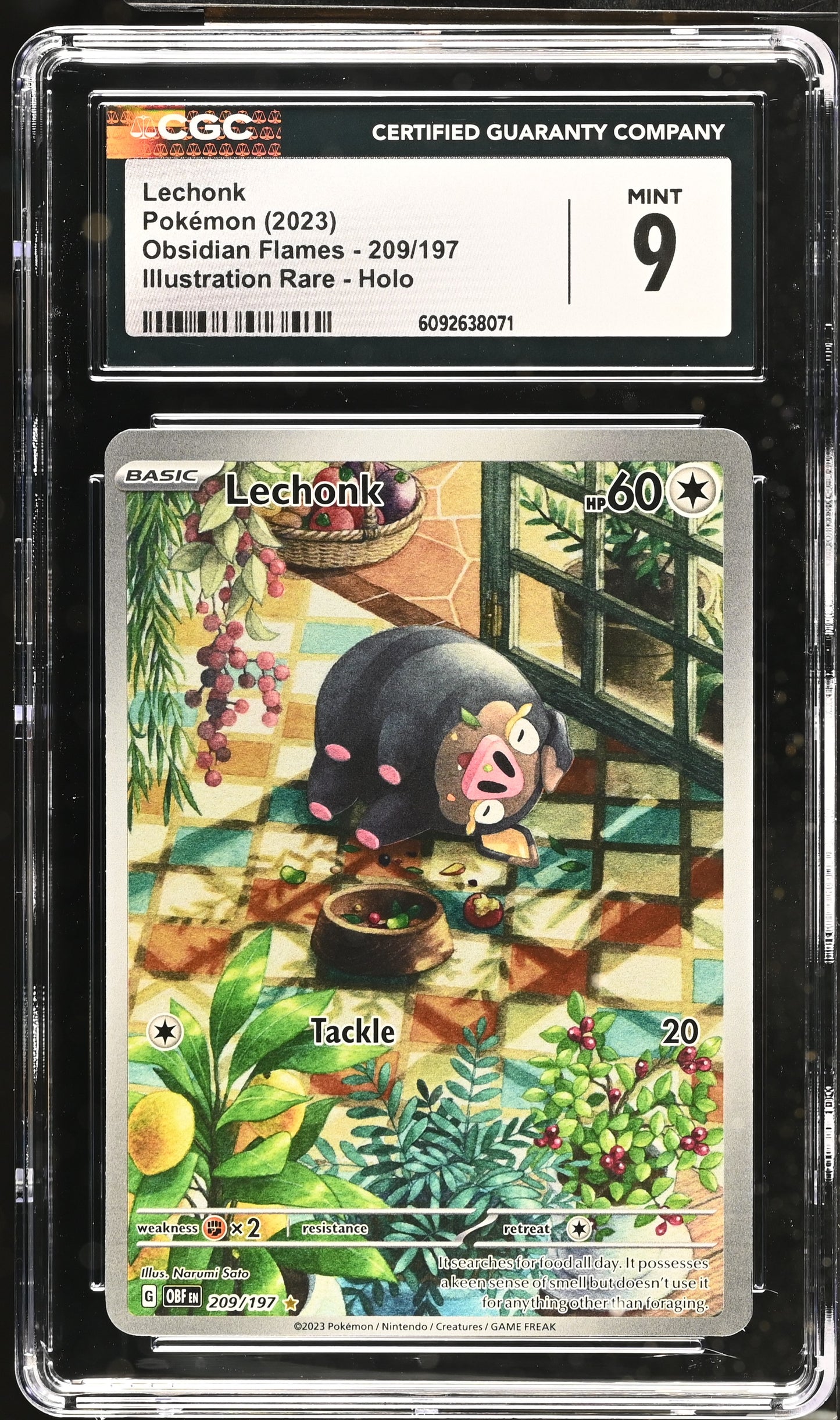 [CGC 9] Lechonk #209 Obsidian Flames