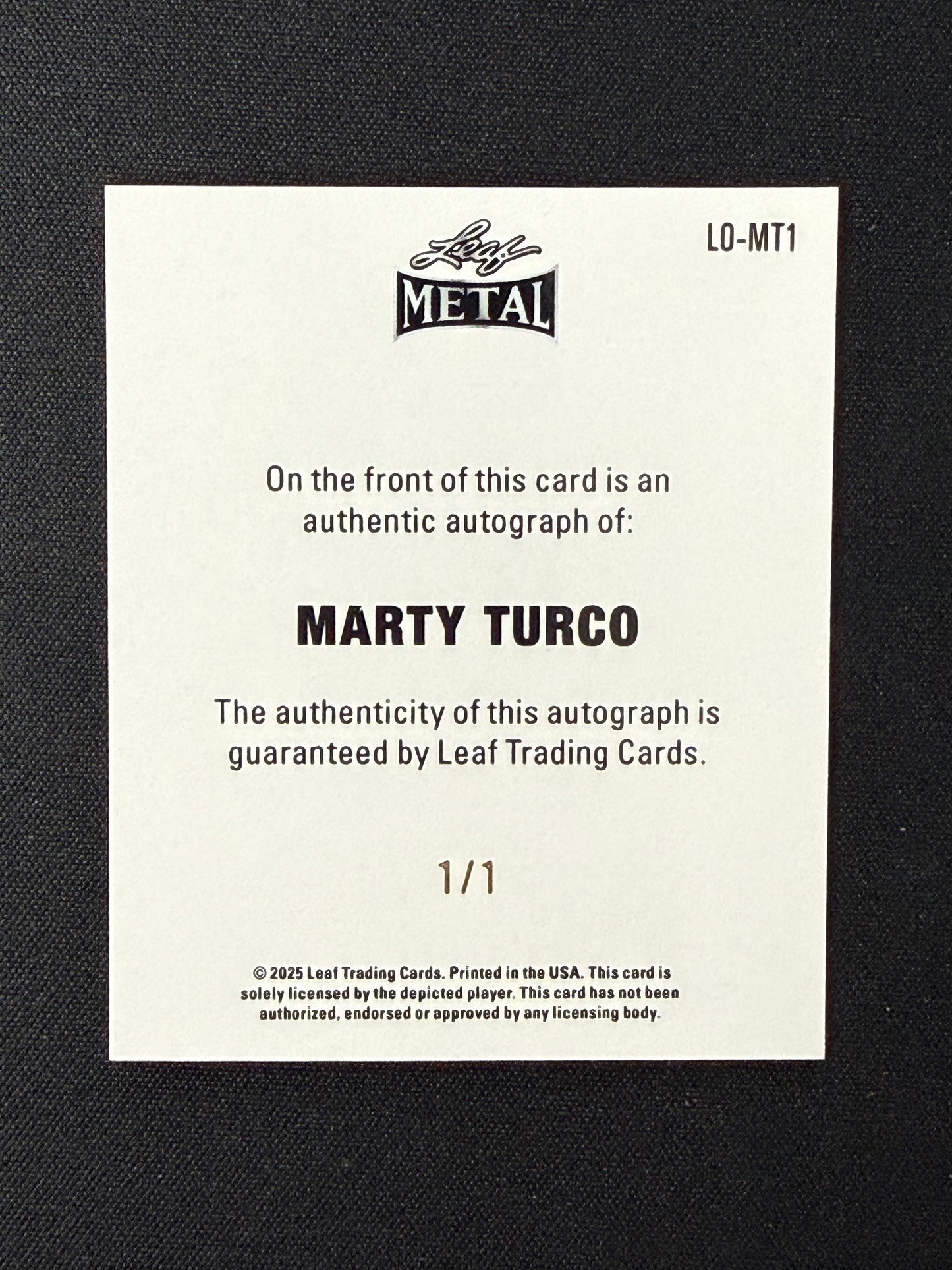 Marty Turco 2025 Leaf Metal 1/1