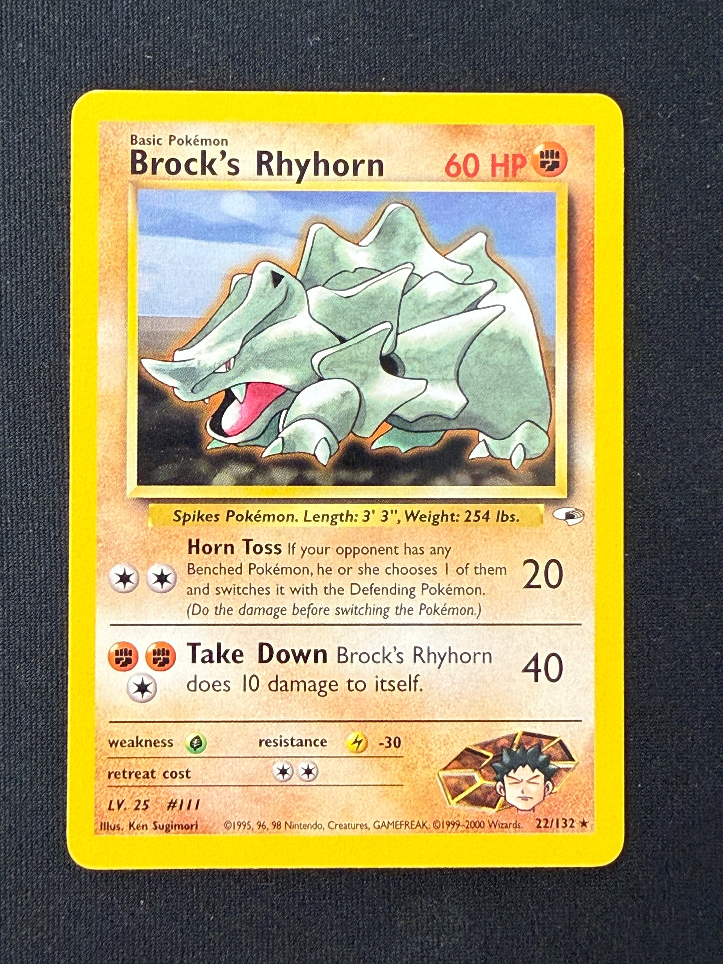 Brock's Rhyhorn #22 Gym Heroes