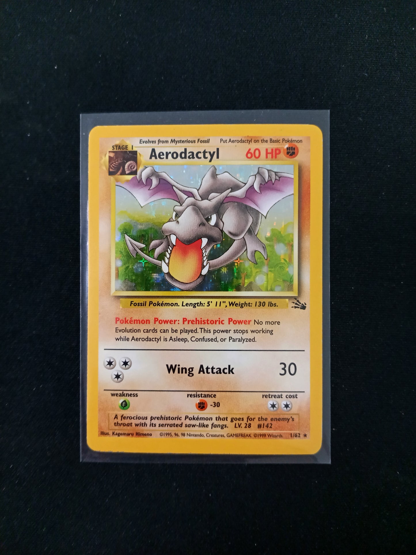 Aerodactyl #1 Pokemon Fossil